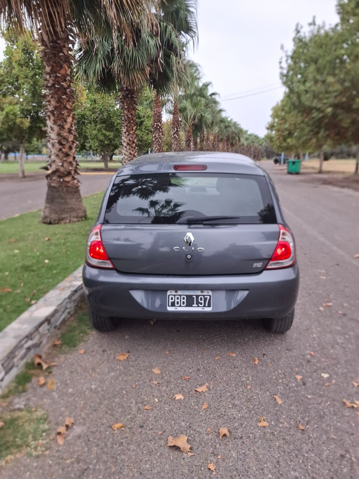 Renault Clio - Vista 3